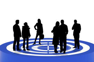 中国青少年篮球均衡发展政策分析，中国青少年篮球训练指导手册